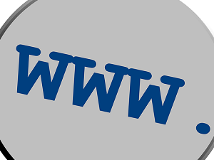 Which is the best option to denote the domain